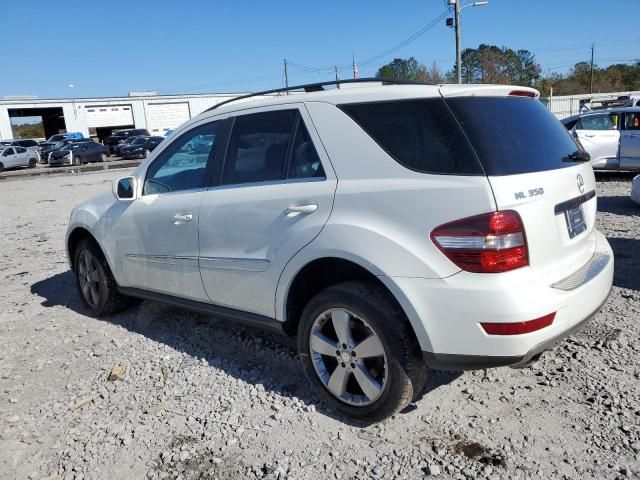 2010 Mercedes-Benz ML 350