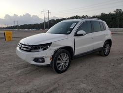 Volkswagen Tiguan salvage cars for sale: 2013 Volkswagen Tiguan S