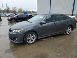 Toyota Camry salvage cars for sale: 2013 Toyota Camry L