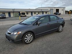 Honda Civic lx salvage cars for sale: 2010 Honda Civic LX