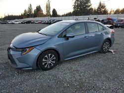 Toyota Corolla salvage cars for sale: 2022 Toyota Corolla LE