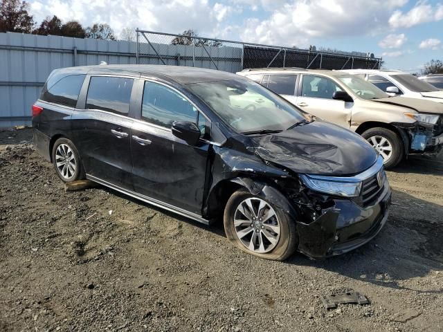 2024 Honda Odyssey EXL