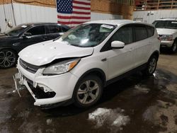 Ford Escape salvage cars for sale: 2013 Ford Escape SE