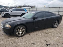 Dodge salvage cars for sale: 2013 Dodge Charger SXT