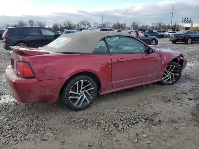 2004 Ford Mustang