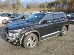 Hyundai Santa fe salvage cars for sale: 2022 Hyundai Santa FE SEL