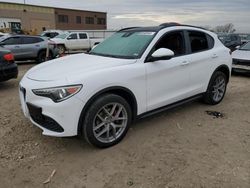 Alfa Romeo Stelvio salvage cars for sale: 2018 Alfa Romeo Stelvio TI Sport