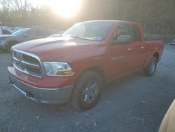 Dodge ram 1500 salvage cars for sale: 2011 Dodge RAM 1500