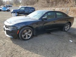 Vehiculos salvage en venta de Copart Marlboro, NY: 2017 Dodge Charger SXT