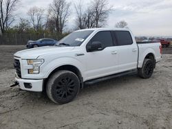 Salvage cars for sale from Copart Cicero, IN: 2016 Ford F150 Supercrew