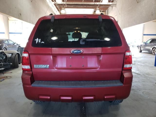 2008 Ford Escape XLT