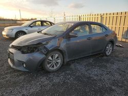 Toyota Corolla salvage cars for sale: 2014 Toyota Corolla ECO