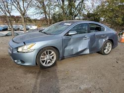 Nissan Maxima salvage cars for sale: 2010 Nissan Maxima S