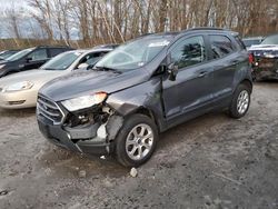 Ford Ecosport salvage cars for sale: 2018 Ford Ecosport SE