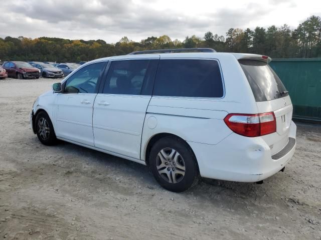 2005 Honda Odyssey EXL