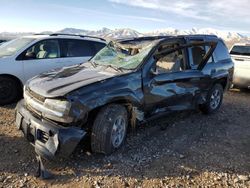 Chevrolet Trailblzr salvage cars for sale: 2006 Chevrolet Trailblazer LS