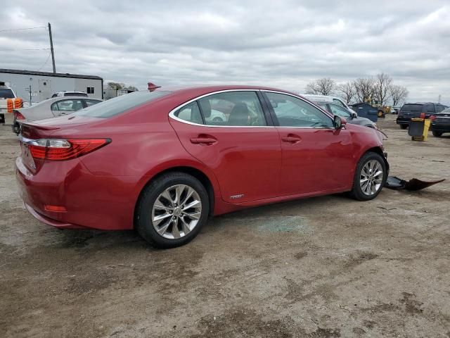 2014 Lexus ES 300H