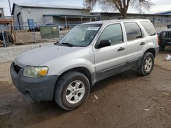 Ford Escape salvage cars for sale: 2005 Ford Escape XLT