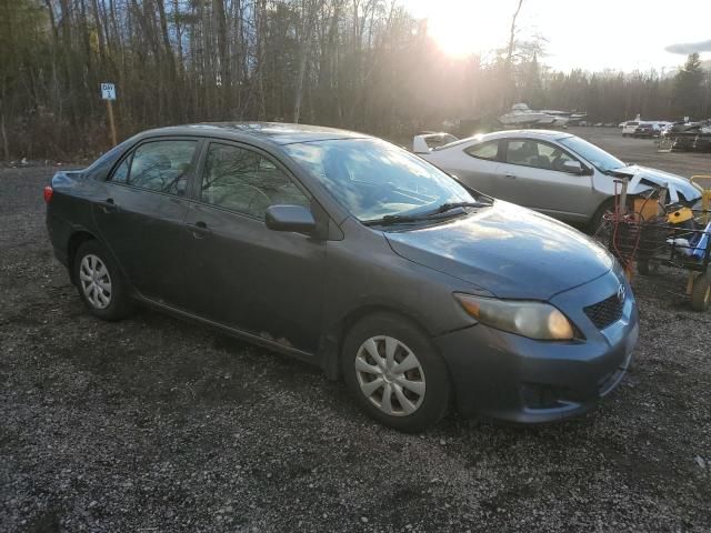 2009 Toyota Corolla Base