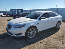 Ford Taurus salvage cars for sale: 2013 Ford Taurus SEL