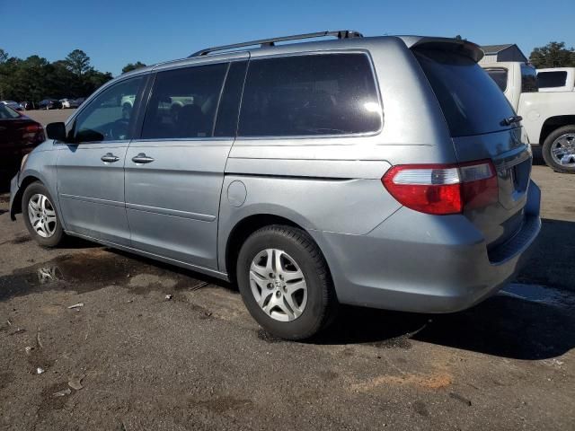 2005 Honda Odyssey EXL