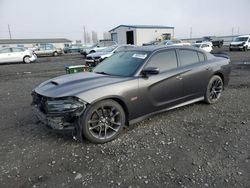 Dodge salvage cars for sale: 2021 Dodge Charger Scat Pack