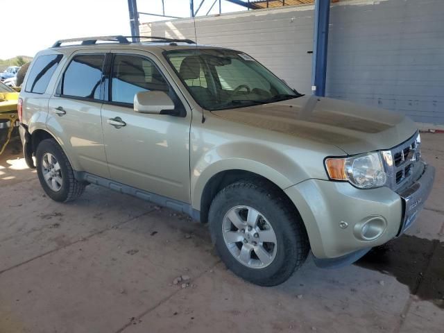 2011 Ford Escape Limited