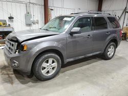 Salvage cars for sale from Copart Billings, MT: 2009 Ford Escape XLT