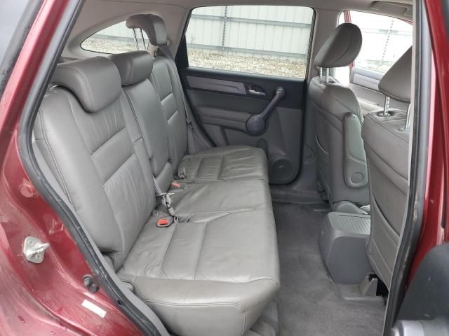 2009 Honda CR-V EXL