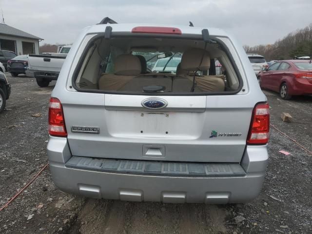 2011 Ford Escape Hybrid