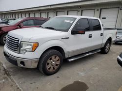 Ford salvage cars for sale: 2010 Ford F150 Supercrew