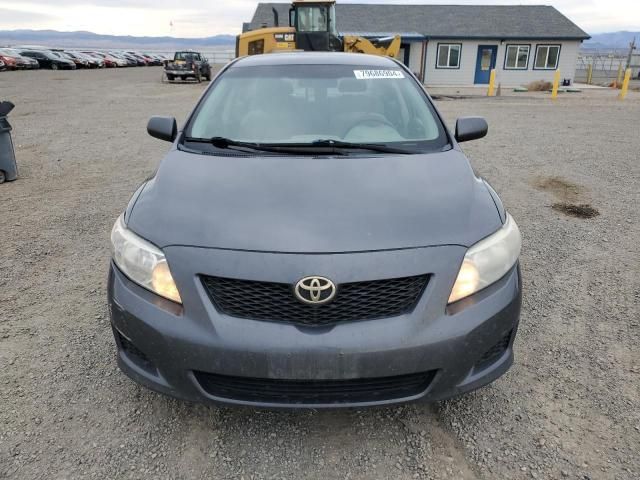 2009 Toyota Corolla Base