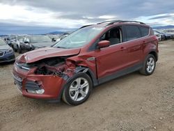 Ford Escape salvage cars for sale: 2015 Ford Escape SE