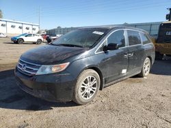 Honda Odyssey exl salvage cars for sale: 2013 Honda Odyssey EXL