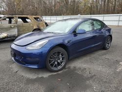 Salvage cars for sale from Copart Glassboro, NJ: 2023 Tesla Model 3