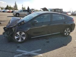 Hyundai Ioniq salvage cars for sale: 2019 Hyundai Ioniq