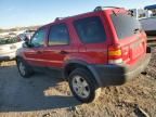 2002 Ford Escape XLT