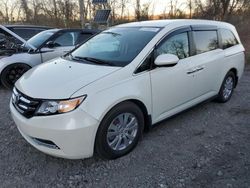 Honda Odyssey ex salvage cars for sale: 2016 Honda Odyssey EX