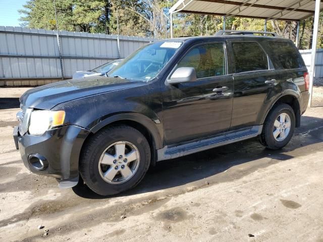 2009 Ford Escape XLT