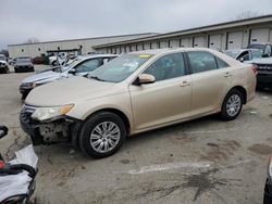 Toyota Camry Vehiculos salvage en venta: 2012 Toyota Camry Base