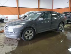 Honda salvage cars for sale: 2010 Honda Accord Crosstour EXL