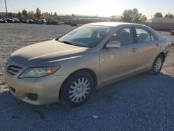 Salvage cars for sale from Copart Mentone, CA: 2011 Toyota Camry Base