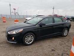 Hyundai salvage cars for sale: 2019 Hyundai Sonata SE