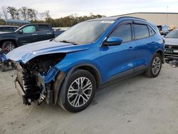 Ford Escape sel salvage cars for sale: 2020 Ford Escape SEL