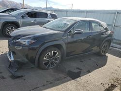 Lexus ux 200 salvage cars for sale: 2020 Lexus UX 200