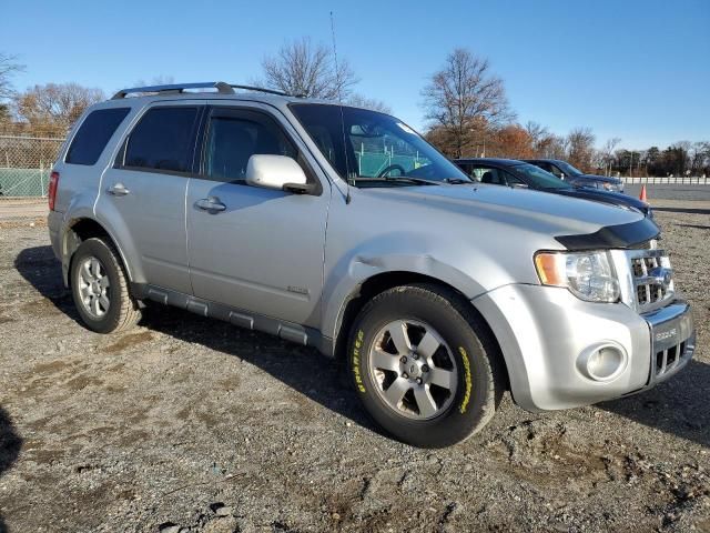 2011 Ford Escape Limited