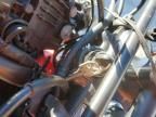 2021 Honda CRF300 LRA