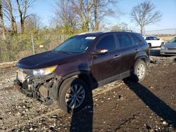 KIA Sorento salvage cars for sale: 2011 KIA Sorento EX