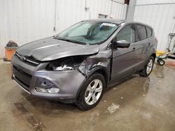 Ford Escape salvage cars for sale: 2014 Ford Escape SE