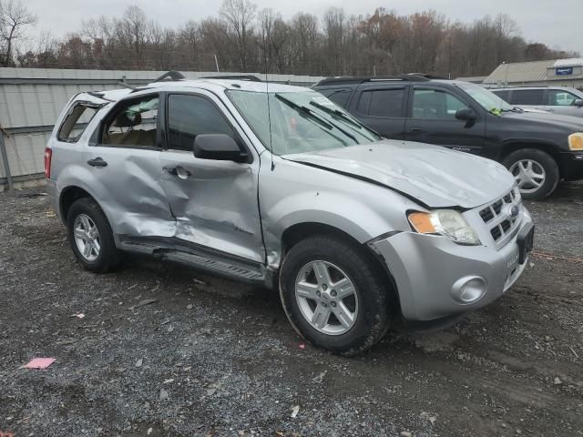 2011 Ford Escape Hybrid